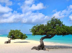 Photo Gallery, Bubali Bliss Studios