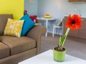 Photo Gallery, Bubali Bliss Studios