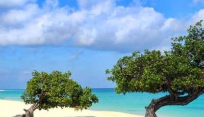 About Us, Bubali Bliss Studios